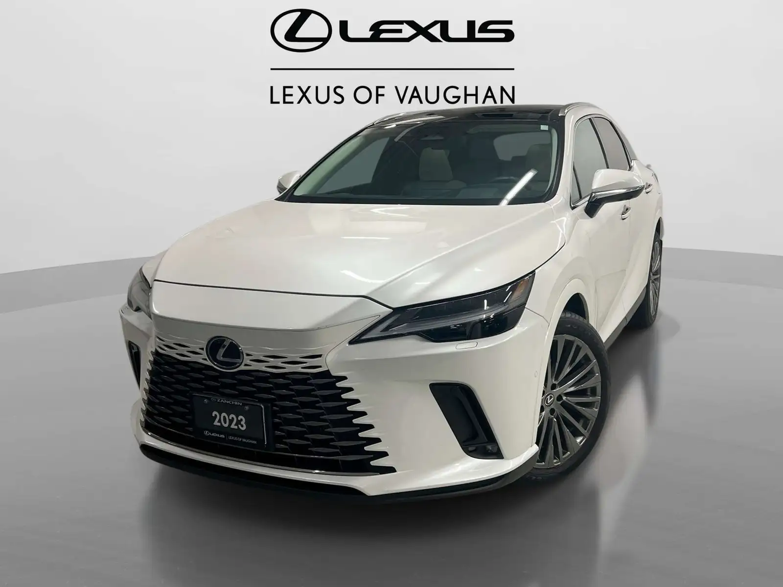 2023 Lexus RX — photo 1