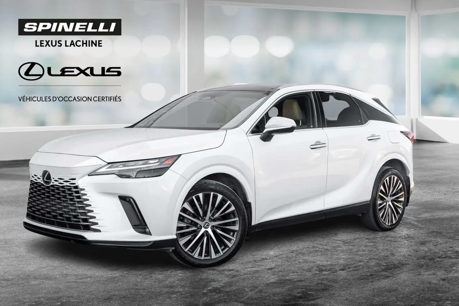 2023 Lexus RX — photo 1