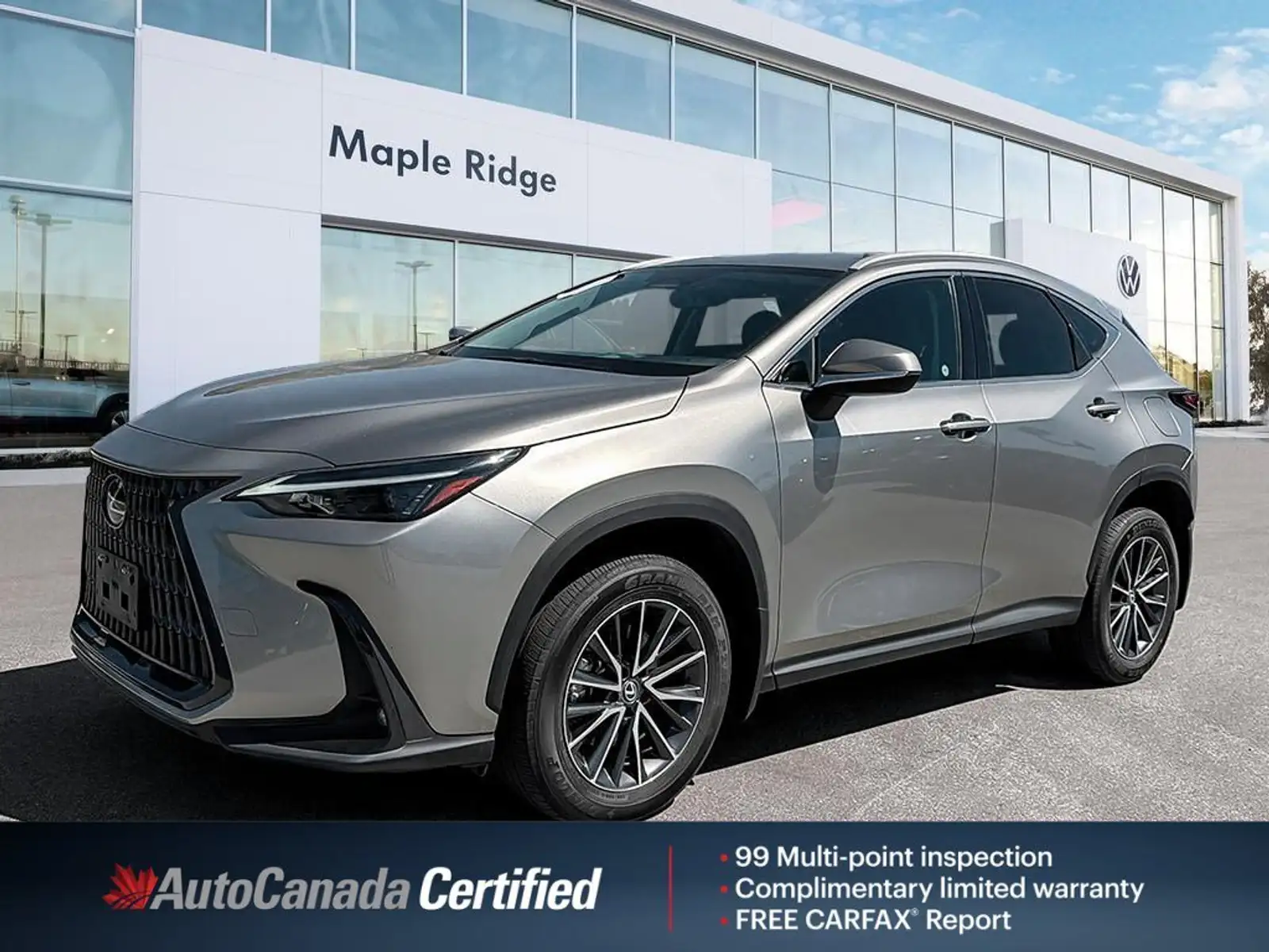 2023 Lexus NX 350 — photo 1